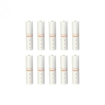 Lot de 10 filtres de remplacement Vilter Aspire