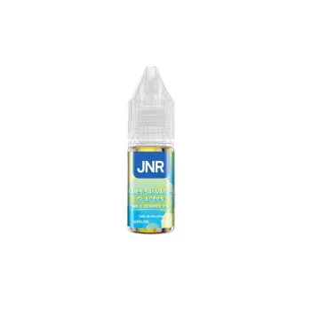 JNR — Wild Berries Ice Nic Salts JNR 10ml 20mg