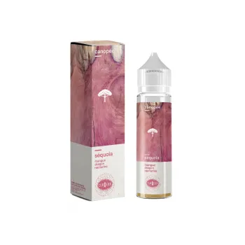 Curieux — Sequioa Canopee Curieux 50ml