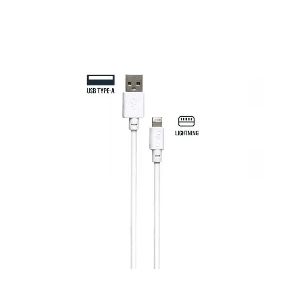 Câble de Charge TYPE-A vers Lightning 1.2m (1pc) - WYN Access