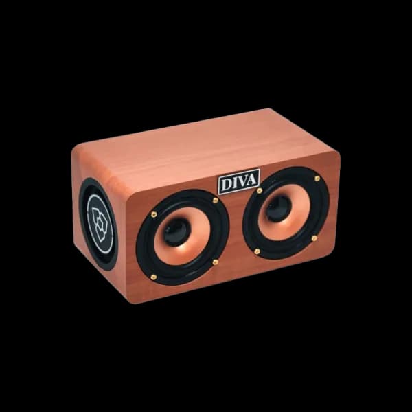 Enceinte Bluetooth Portable S1 - Diva